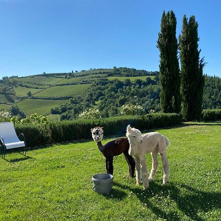 Villa Rignana Chianti Estate, Pool, Tennis,Cook Greve in Chianti Zewnętrze zdjęcie